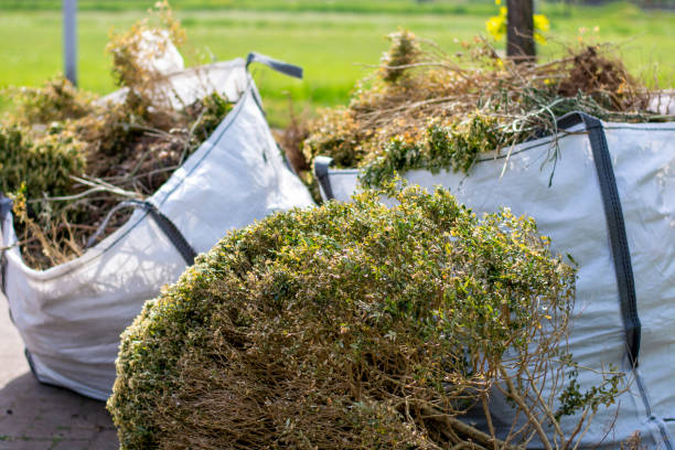Best Shed Removal  in Cheyenne, WY